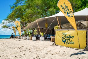 Safari Blue | Island Lounge