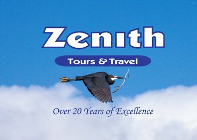 Zenith-LogoIII.pdf.jpg